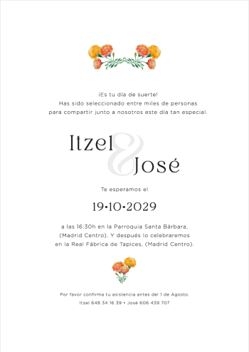 Mexico@2x